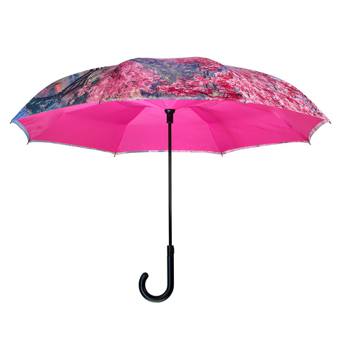 Picture of Cherry Blossoms Stick Umbrella