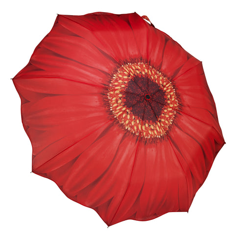 Picture of Red Daisy Folding Umbrella