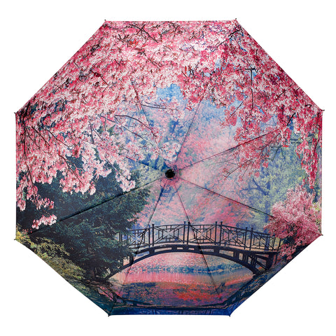 Picture of Cherry Blossoms Folding Umbrella